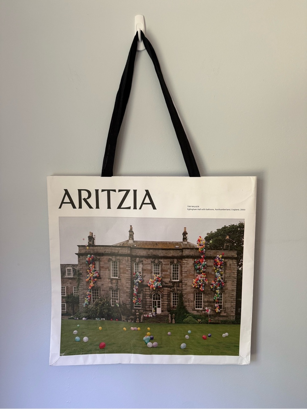 Aritzia Paper Bag
